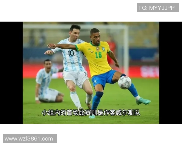 威尔士与芬兰精彩对决视频回顾及赛后分析