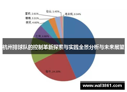 杭州排球队的控制革新探索与实践全景分析与未来展望